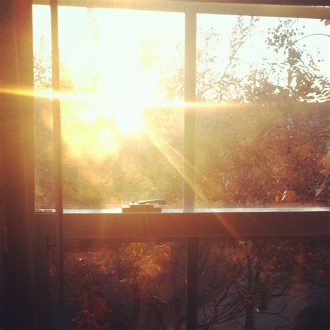 sunshine through a window.